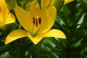 2025-06279169 Broad Meadow Brook, MA